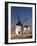 Line of Windmills Above the Village of Consuegra, Ruta De Don Quixote, Castile La Mancha, Spain-Michael Busselle-Framed Photographic Print