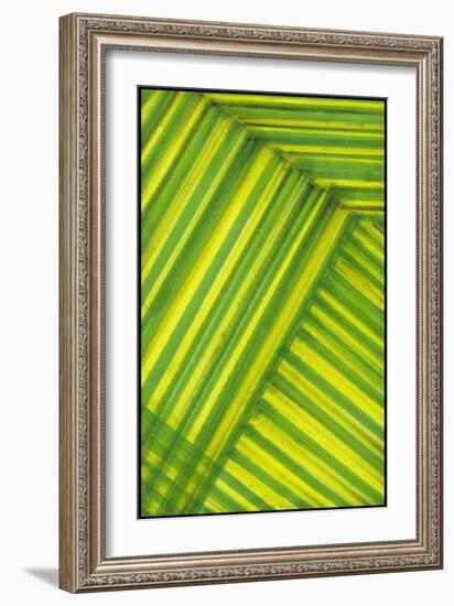 Line Study Green-Charles McMullen-Framed Art Print