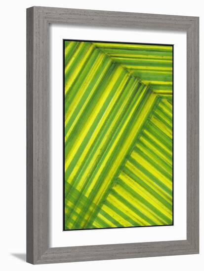 Line Study Green-Charles McMullen-Framed Art Print