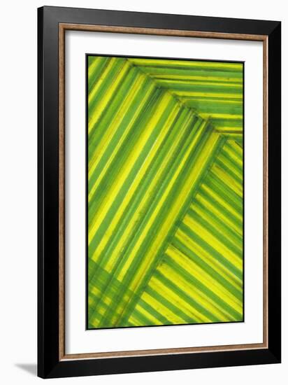 Line Study Green-Charles McMullen-Framed Art Print