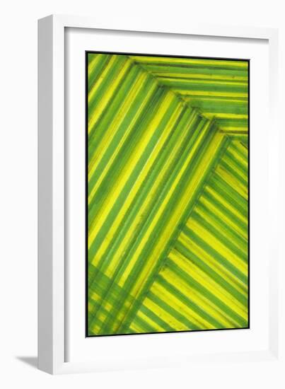 Line Study Green-Charles McMullen-Framed Art Print