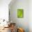 Line Study Green-Charles McMullen-Mounted Art Print displayed on a wall