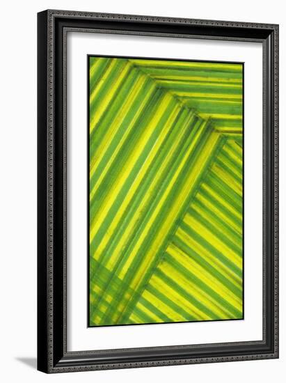 Line Study Green-Charles McMullen-Framed Art Print