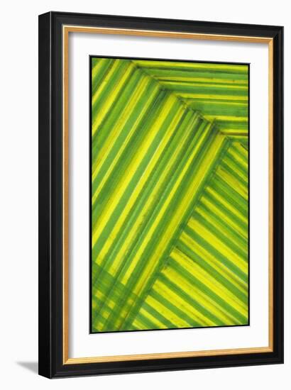 Line Study Green-Charles McMullen-Framed Art Print