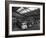 Line Up of 1950S Lorries at Spillers Animal Foods, Gainsborough, Lincolnshire, 1961-Michael Walters-Framed Photographic Print