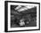 Line Up of 1950S Lorries at Spillers Animal Foods, Gainsborough, Lincolnshire, 1961-Michael Walters-Framed Photographic Print