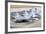 Line-Up of Brazilian Air Force F-2000 Aircraft at Natal Air Force Base, Brazil-Stocktrek Images-Framed Photographic Print