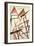 Linear Construction, c.1921-Liubov Sergeevna Popova-Framed Giclee Print