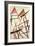 Linear Construction, c.1921-Liubov Sergeevna Popova-Framed Giclee Print