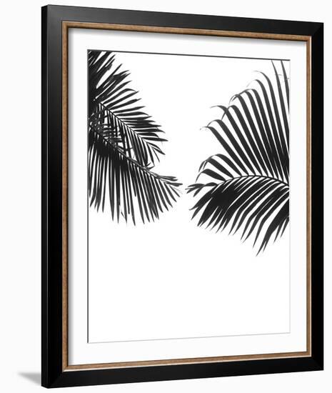 Linear Frond Focus-Bill Philip-Framed Giclee Print