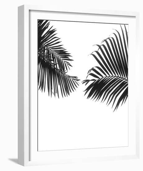 Linear Frond Focus-Bill Philip-Framed Giclee Print