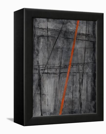 Linear Heteroclite I-Joshua Schicker-Framed Premier Image Canvas