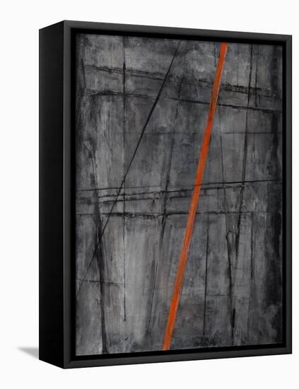 Linear Heteroclite I-Joshua Schicker-Framed Premier Image Canvas