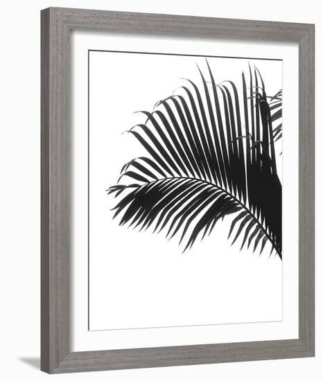 Linear Palm I-Bill Philip-Framed Giclee Print