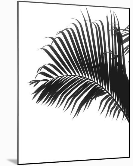 Linear Palm I-Bill Philip-Mounted Giclee Print