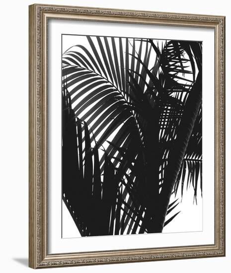 Linear Palm II-Bill Philip-Framed Giclee Print