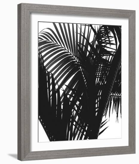 Linear Palm II-Bill Philip-Framed Giclee Print