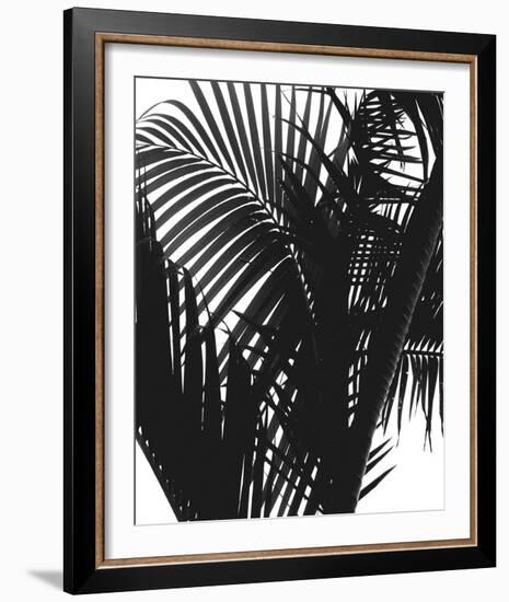 Linear Palm II-Bill Philip-Framed Giclee Print