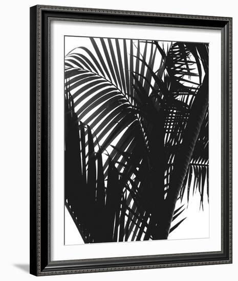 Linear Palm II-Bill Philip-Framed Giclee Print