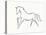 Linear Sketch - Horse-Clara Wells-Framed Stretched Canvas