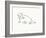 Linear Sketch - Walrus-Clara Wells-Framed Giclee Print