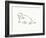 Linear Sketch - Walrus-Clara Wells-Framed Giclee Print