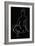 lineart_nude black pica_002_Black-1x Studio II-Framed Giclee Print