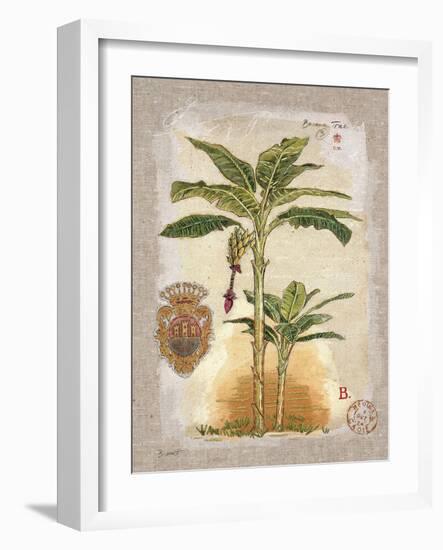 Linen Banana Palm Tree-Chad Barrett-Framed Art Print