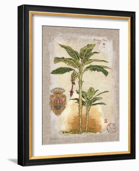 Linen Banana Palm Tree-Chad Barrett-Framed Art Print