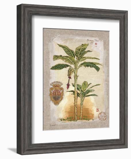 Linen Banana Palm Tree-Chad Barrett-Framed Art Print