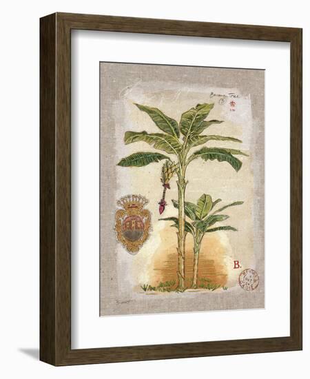 Linen Bannana Palm Tree-Chad Barrett-Framed Art Print
