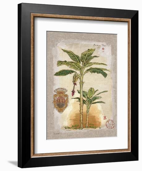 Linen Bannana Palm Tree-Chad Barrett-Framed Art Print