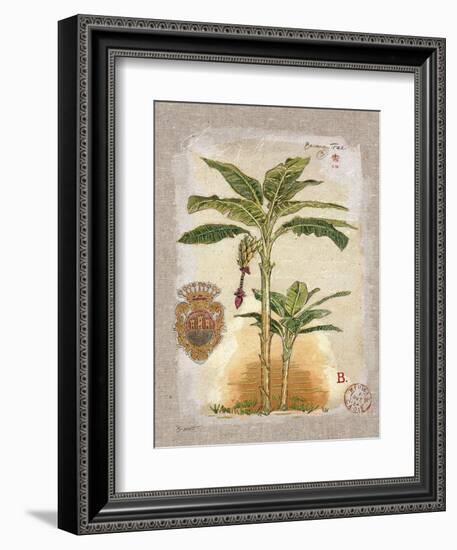 Linen Bannana Palm Tree-Chad Barrett-Framed Art Print