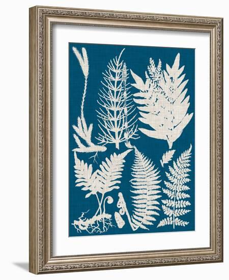 Linen & Blue Ferns II-Vision Studio-Framed Art Print