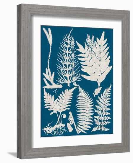 Linen & Blue Ferns II-Vision Studio-Framed Art Print