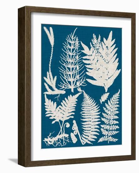 Linen & Blue Ferns II-Vision Studio-Framed Art Print