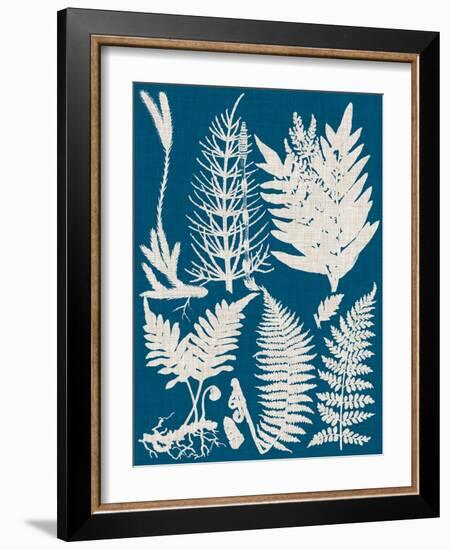 Linen & Blue Ferns II-Vision Studio-Framed Art Print