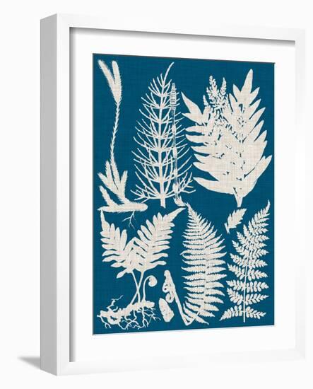 Linen & Blue Ferns II-Vision Studio-Framed Art Print