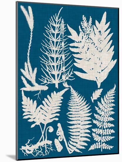 Linen & Blue Ferns II-Vision Studio-Mounted Art Print