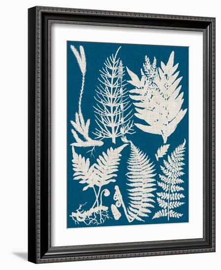 Linen & Blue Ferns II-Vision Studio-Framed Art Print