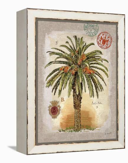 Linen Date Palm Tree-Chad Barrett-Framed Stretched Canvas