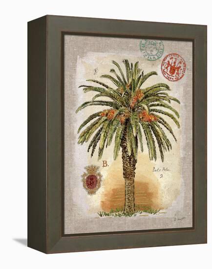 Linen Date Palm Tree-Chad Barrett-Framed Stretched Canvas