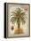 Linen Date Palm Tree-Chad Barrett-Framed Stretched Canvas