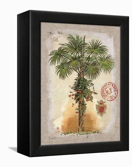 Linen Fan Palm Tree-Chad Barrett-Framed Stretched Canvas