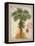 Linen Fan Palm Tree-Chad Barrett-Framed Stretched Canvas