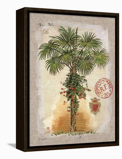 Linen Fan Palm Tree-Chad Barrett-Framed Stretched Canvas