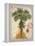 Linen Fan Palm Tree-Chad Barrett-Framed Stretched Canvas