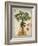 Linen Fan Palm Tree-Chad Barrett-Framed Art Print