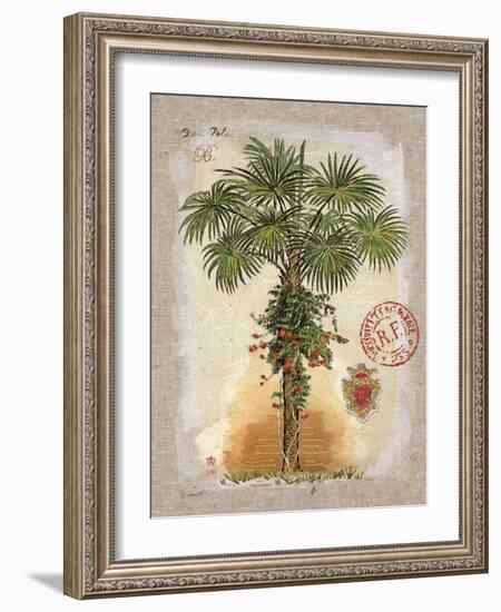 Linen Fan Palm Tree-Chad Barrett-Framed Art Print