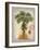 Linen Fan Palm Tree-Chad Barrett-Framed Art Print